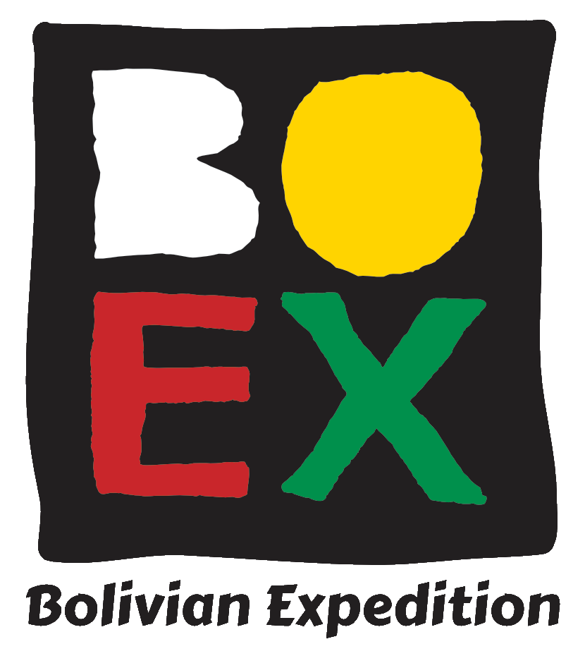 BO-EX Logo